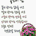 '.' 글에 포함된 이미지