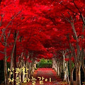 '.' 글에 포함된 이미지