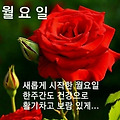 '.' 글에 포함된 이미지