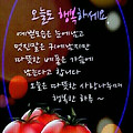 '태풍 피해들 없으신지' 글에 포함된 이미지