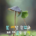 '.' 글에 포함된 이미지