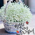 '4월엔 좋은일만 있길 ' 글에 포함된 이미지