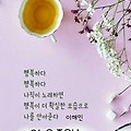 '.' 글에 포함된 이미지