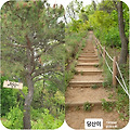 'http://m.cafe.daum.n' 글에 포함된 이미지