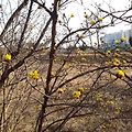 '동네 산책중인데~ 산' 글에 포함된 이미지