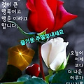 '.' 글에 포함된 이미지