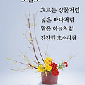 '.' 글에 포함된 이미지