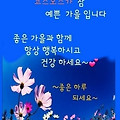 '.' 글에 포함된 이미지