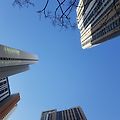 '굿모닝 입니다♡' 글에 포함된 이미지
