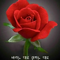 'ㆍ' 글에 포함된 이미지