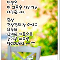 '.' 글에 포함된 이미지