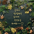 '.' 글에 포함된 이미지