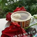 '..' 글에 포함된 이미지