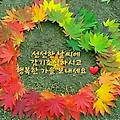 '즐거운 주말되세요♡' 글에 포함된 이미지