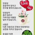 '.' 글에 포함된 이미지