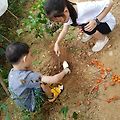 '조용한 추석날 이네요' 글에 포함된 이미지
