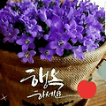 '.' 글에 포함된 이미지