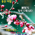 '.' 글에 포함된 이미지