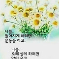 '.' 글에 포함된 이미지