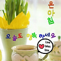 '.' 글에 포함된 이미지