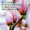 'ㆍ' 글에 포함된 이미지