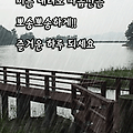 '.' 글에 포함된 이미지