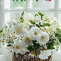 '.' 글에 포함된 이미지