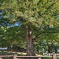 '가을바람이 살랑살랑 ' 글에 포함된 이미지