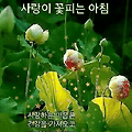 '.' 글에 포함된 이미지