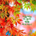 '긴 연휴가 끝나고 새' 글에 포함된 이미지