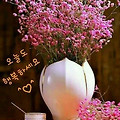 '.' 글에 포함된 이미지