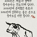 '새해가 밝았습니다...' 글에 포함된 이미지