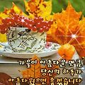 '주말 즐겁게 잘 보냅' 글에 포함된 이미지