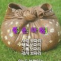'.' 글에 포함된 이미지