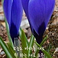 '.' 글에 포함된 이미지