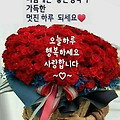 '.' 글에 포함된 이미지