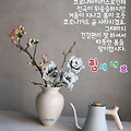 '.' 글에 포함된 이미지