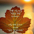 '.' 글에 포함된 이미지