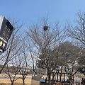 '날씨도 좋고 여기저기' 글에 포함된 이미지