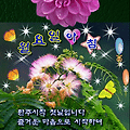 '.' 글에 포함된 이미지