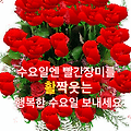 '.' 글에 포함된 이미지