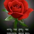 '.' 글에 포함된 이미지