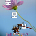 '.' 글에 포함된 이미지