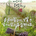 '.' 글에 포함된 이미지