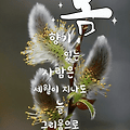 '.' 글에 포함된 이미지