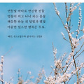 '샘도 좋아하실것같아 ' 글에 포함된 이미지