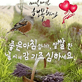 '.' 글에 포함된 이미지