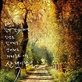 '좀더 일찍 알았더라면' 글에 포함된 이미지