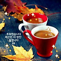'.' 글에 포함된 이미지