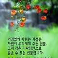 '.' 글에 포함된 이미지